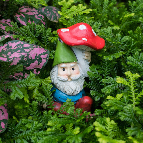 Whimsical Garden Gnome Fine Art Print