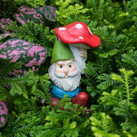 Whimsical Garden Gnome Fine Art Print - april bern art & photography
