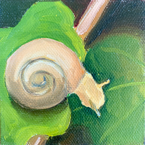 Follow Your Dreams Tiny Snail Painting - 3x3 Tiny Art - april bern photography