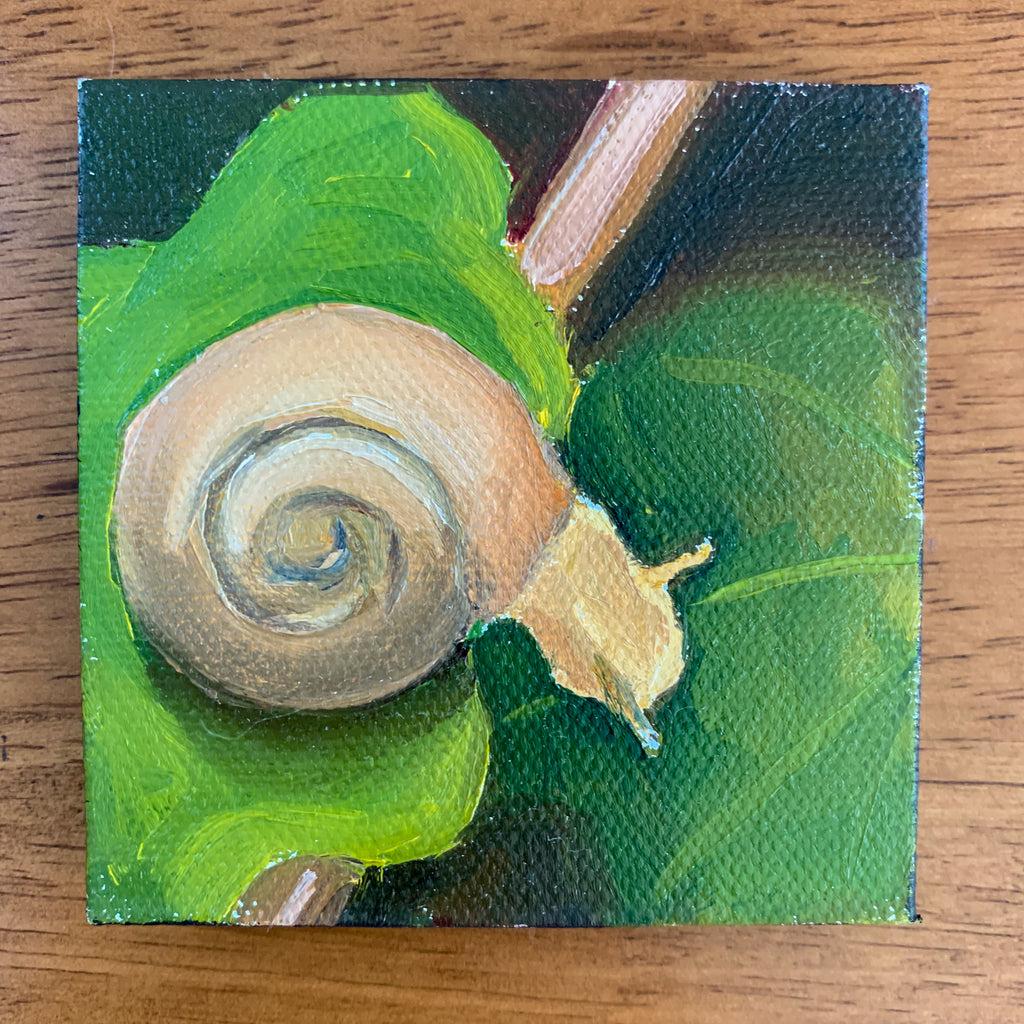 Follow Your Dreams Tiny Snail Painting - 3x3 Tiny Art - april bern photography