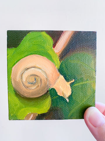 Follow Your Dreams Tiny Snail Painting - 3x3 Tiny Art - april bern photography
