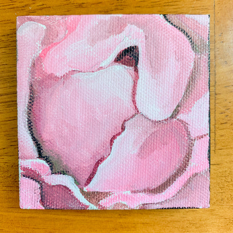 Pretty Pink Peony Original Acrylic Painting - 3x3 Tiny Art - april bern photography