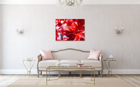 Red Leaves Canvas Art, Gallery Wrapped Canvas - april bern art & photography