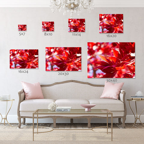 Red Leaves Canvas Art, Gallery Wrapped Canvas - april bern art & photography
