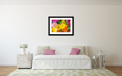 Ranunculus Fine Art Photography - april bern art & photography
