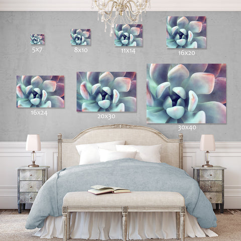 Succulent Gallery Wrapped Canvas - Ready to Hang Succulent Art - april bern art & photography