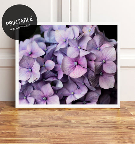 Printable Hydrangea Wall Art - Instant Download