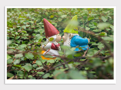 Valentines Day Kissing Garden Gnome Blank Greeting Card - april bern photography