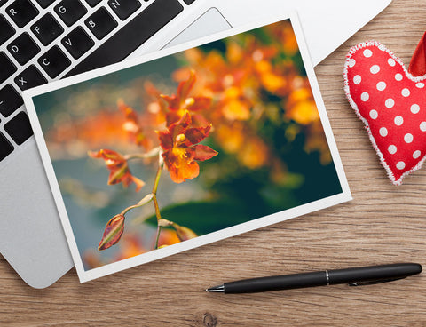 Orange Orchid Photo Notecard, Blank Floral Greeting Card - april bern art & photography