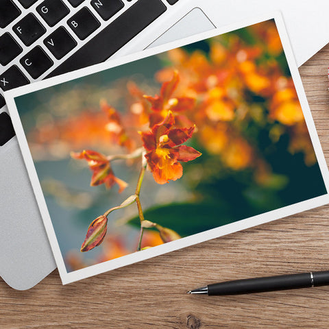 Orange Orchid Photo Notecard, Blank Floral Greeting Card - april bern art & photography