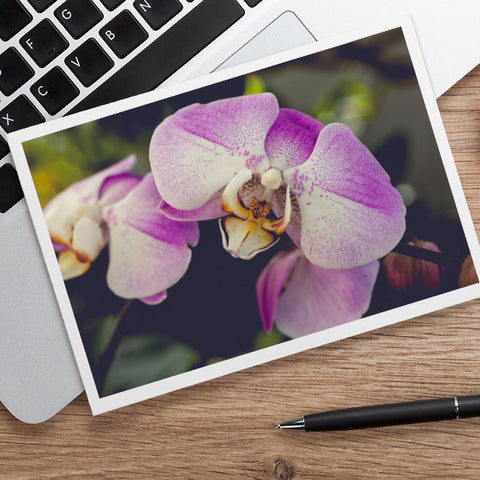 Orchid Stationary, Blank Greeting Card