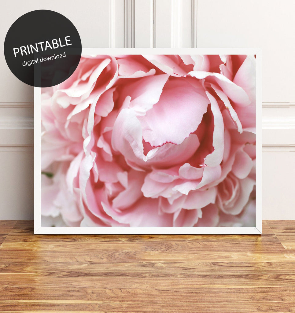 Pink Peony Printable Wall Art - april bern photography