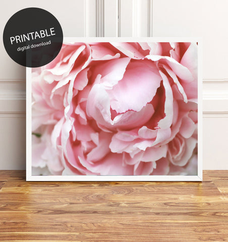 Pink Peony Printable Wall Art