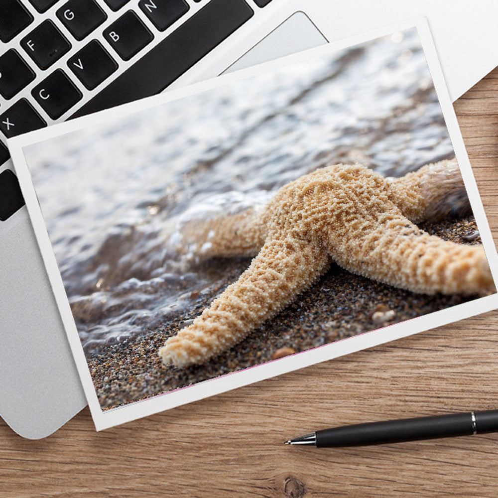 Starfish Photo Note Card - Blank Seashell Card - april bern art & photography