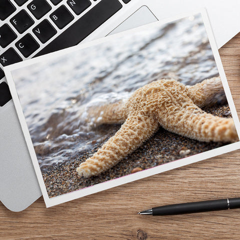 Starfish Photo Note Card - Blank Seashell Card - april bern art & photography