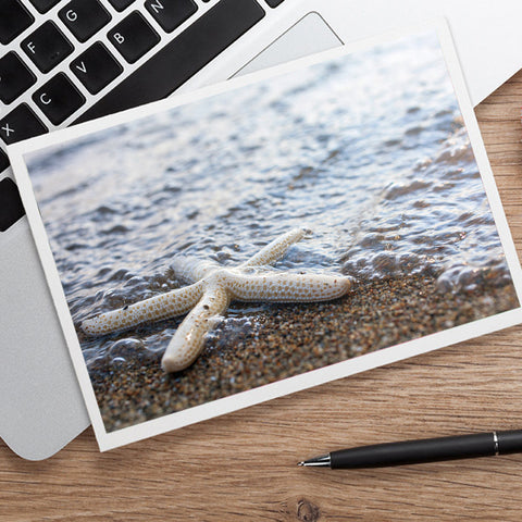 Starfish Photo Notecard - Seashell Card