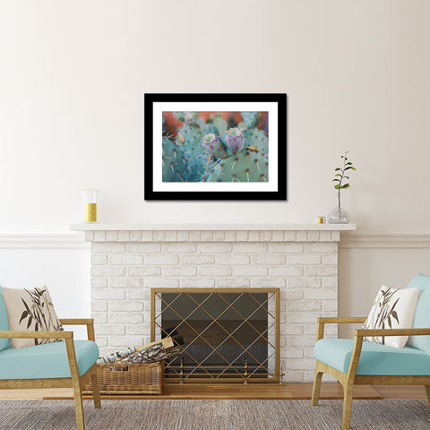 Santa Fe Prickly Pear Cactus - Southwest Desert Photo - april bern art & photography
