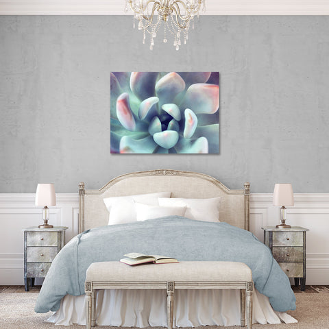 Succulent Gallery Wrapped Canvas - Ready to Hang Succulent Art - april bern art & photography