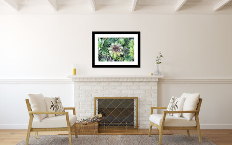 Succulent Photography, Hen and Chicks Photo - april bern art & photography
