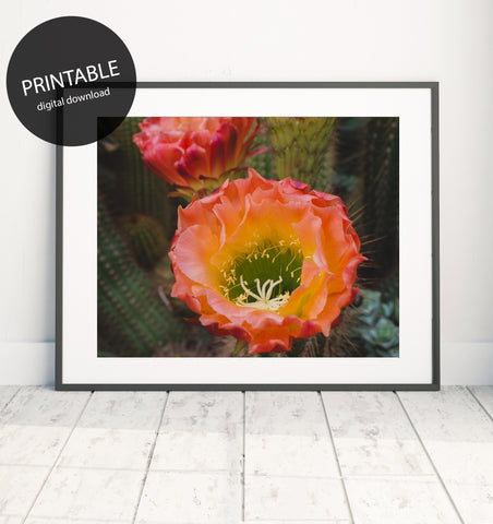 Printable Wall Art - Flowering Cactus Instant Download