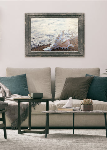 Printable Wall Art - Shell Digital Print - april bern photography
