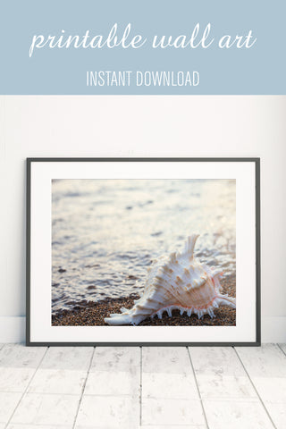 Printable Wall Art - Shell Digital Print - april bern photography