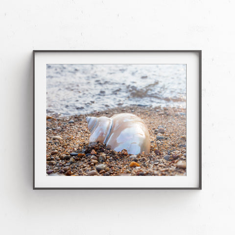 Printable Wall Art - Beach Digital Print - april bern photography