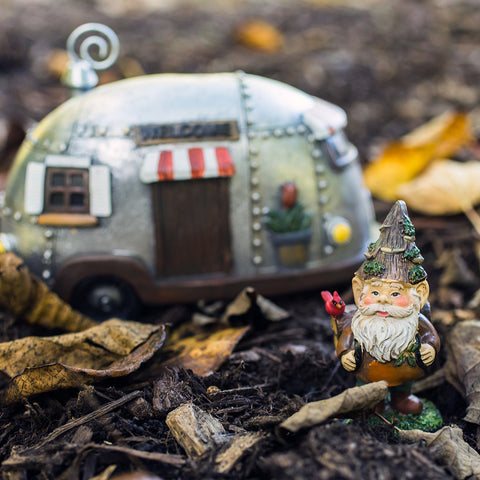 Adventure Gnome Fine Art Print - april bern art & photography