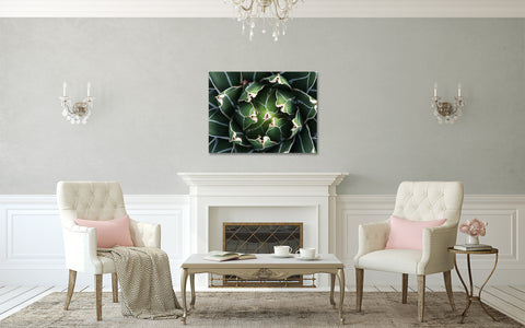 Ready to Hang Queen Victoria Agave Canvas- Succulent Wall Decor - april bern art & photography