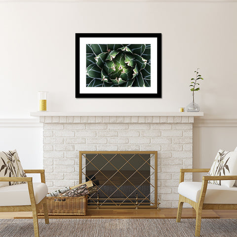 Agave Print, Queen Victoria Agave - april bern art & photography