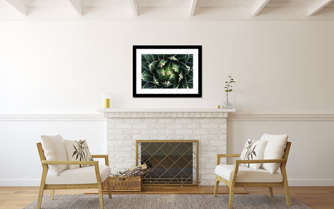Agave Print, Queen Victoria Agave - april bern art & photography