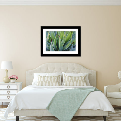 Agave Photo - Desert Art Print - april bern art & photography