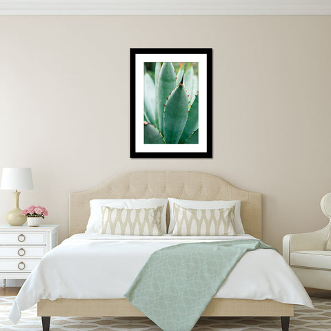 Agave Photograph Botanical Art - april bern art & photography