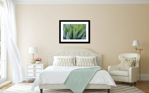 Agave Photo - Desert Art Print - april bern art & photography