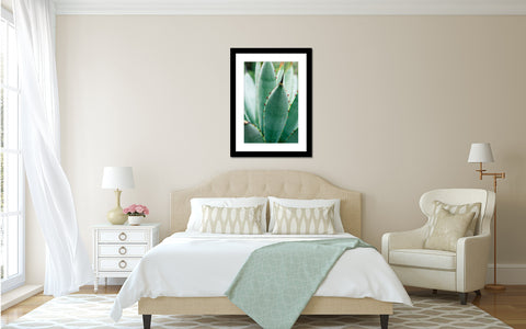 Agave Photograph Botanical Art - april bern art & photography