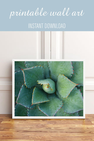 Printable Wall Art - Succulent Instant Download - april bern photography