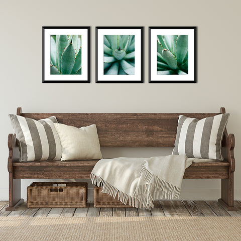 Set of 3 Agave Prints - Succulent Gallery Wall Art