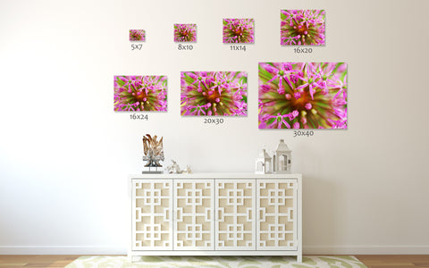 Pink Abstract Botanic Fine Art Print - april bern art & photography