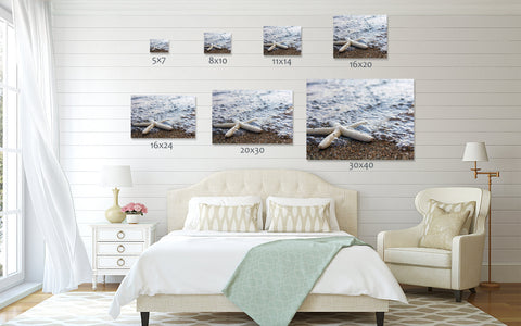 Starfish Gallery Wrapped Canvas, Ready to Hang Canvas Art - april bern art & photography