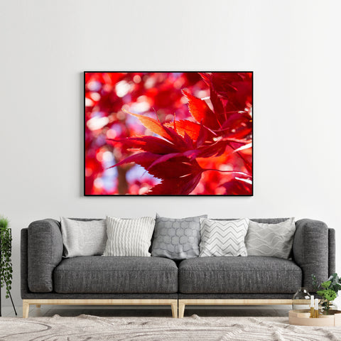 Fiery Autumn Leaves- Fine Art Nature Photography - april bern art & photography