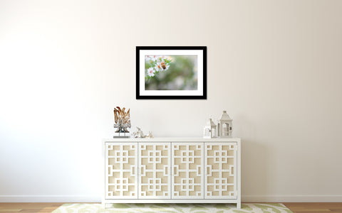 Honey Bee Fine Art Print, Summer Garden Photography - april bern art & photography