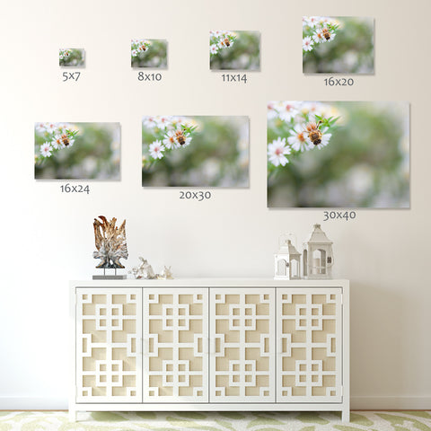 Honey Bee Fine Art Print, Summer Garden Photography - april bern art & photography