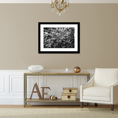 Black & White Botanical Print - april bern art & photography
