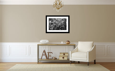 Black & White Botanical Print - april bern art & photography