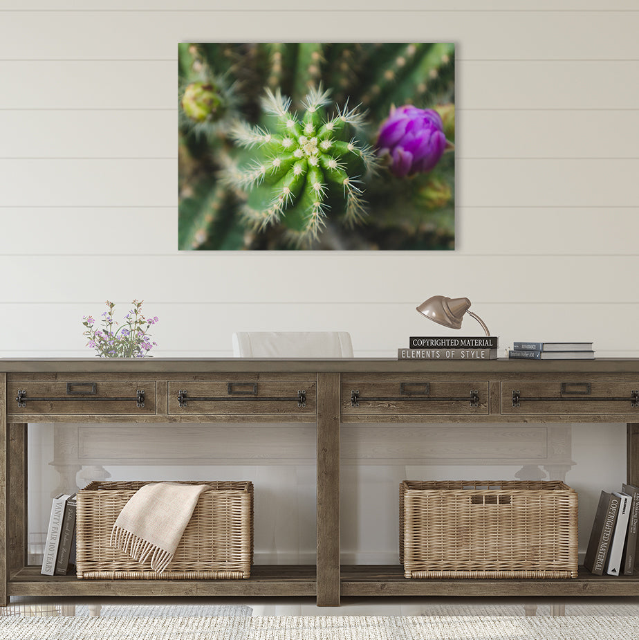 Cactus Wall Art - Ready to Hang Gallery Wrapped Canvas - april bern art & photography