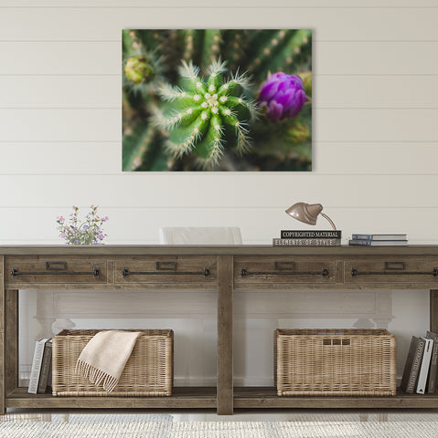Cactus Wall Art - Ready to Hang Gallery Wrapped Canvas