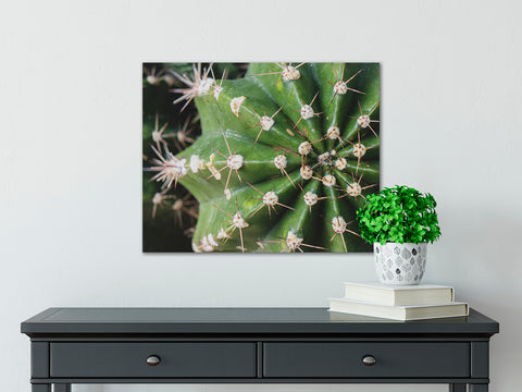Cactus Wall Art - Ready To Hang Gallery Wrap Canvas Print - april bern art & photography