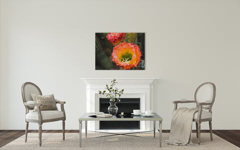 Cactus Bloom Wall Art - Ready to Hang Gallery Wrapped Canvas - april bern art & photography