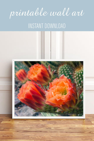 Printable Wall Art - Cactus Flower Instant Download