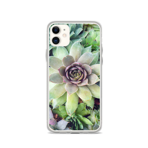 Succulent Garden iPhone Case